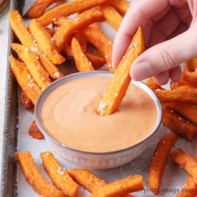 sweet potato fry dip.