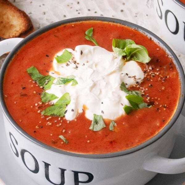 Tomato Soup with Pasta Sauce {Easy 30 Min Recipe}