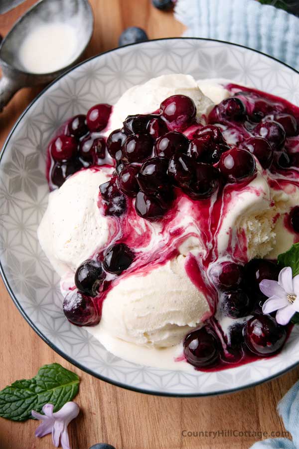 bowl of vanilla ice cream topped with homemade blueberry sauce.