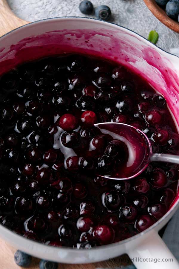 spoon dipping into a pot of homemade blueberry sauce.