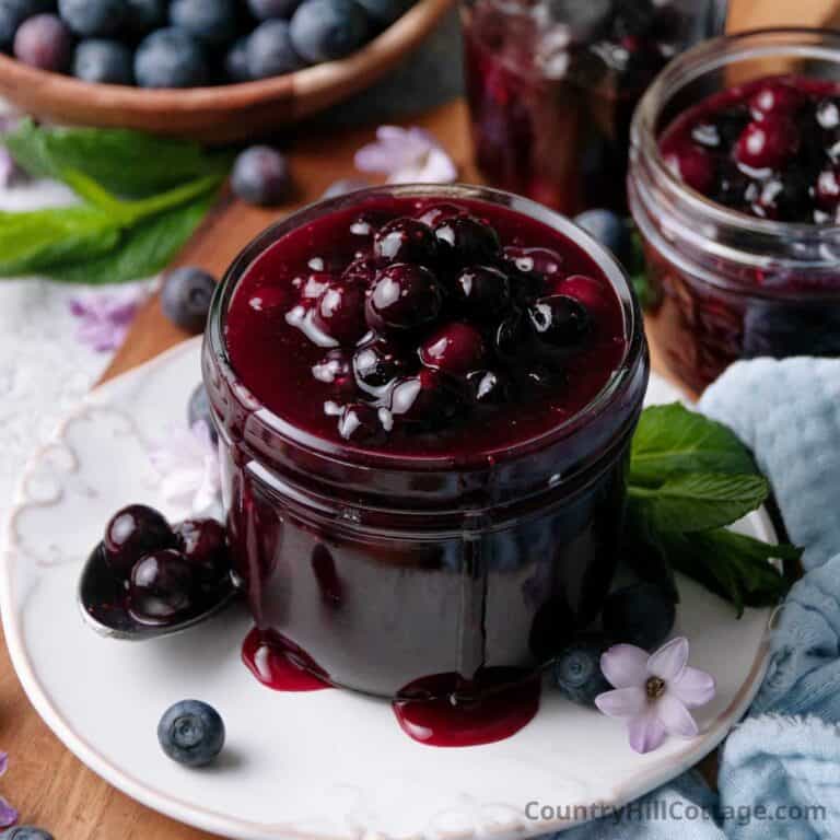 blueberry sauce recipe.