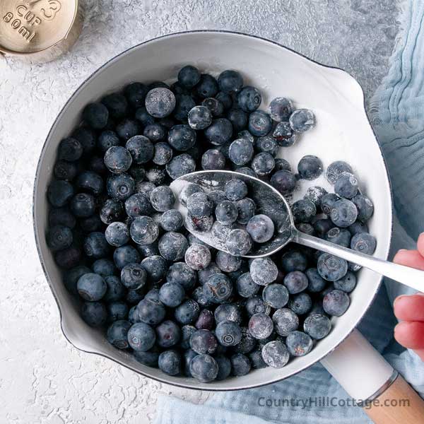 step 2 mix in blueberries.