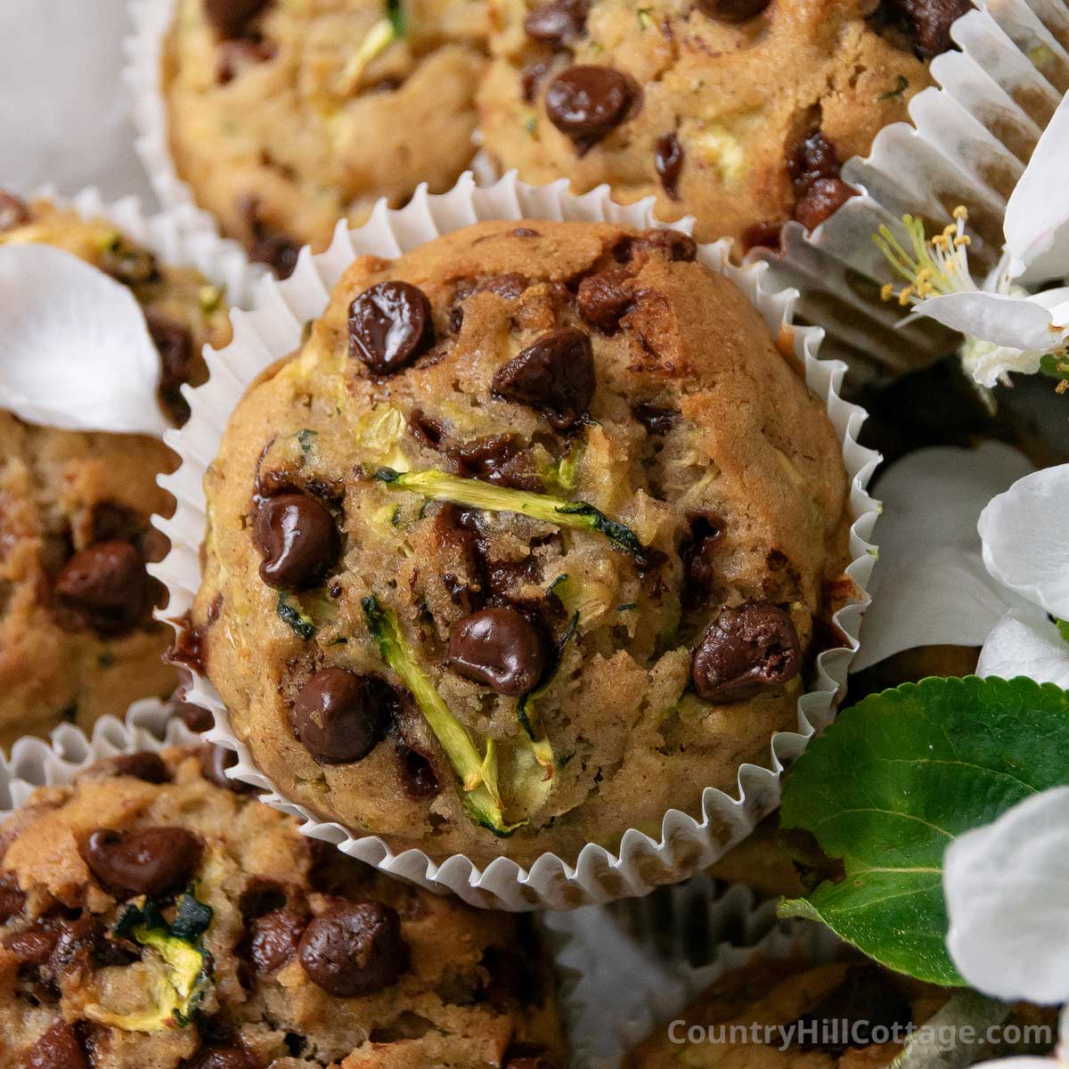 Chocolate Chip Zucchini Muffins