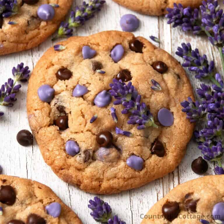 lavender chocolate chip cookie recipe.