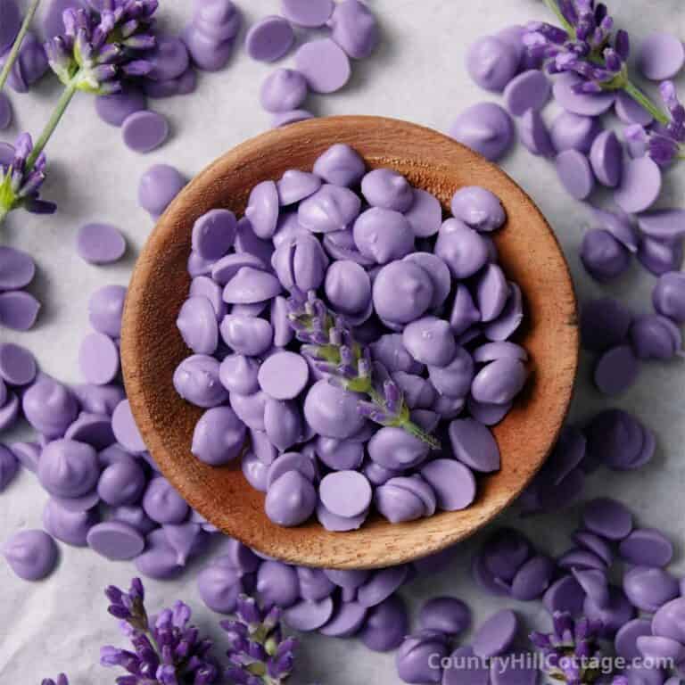 lavender chocolate chips recipe.