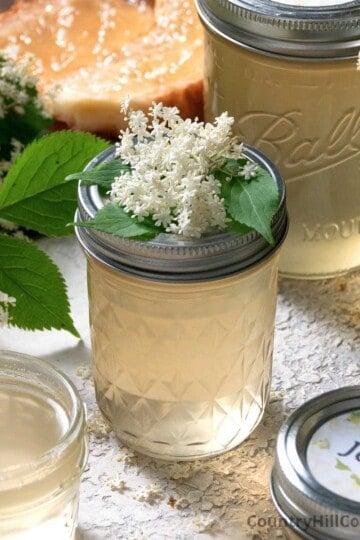 elderflower jelly recipe.