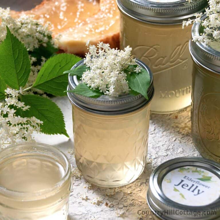elderflower jelly recipe.