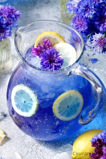 cornflower lemonade recipe.