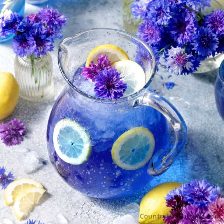 cornflower lemonade recipe.